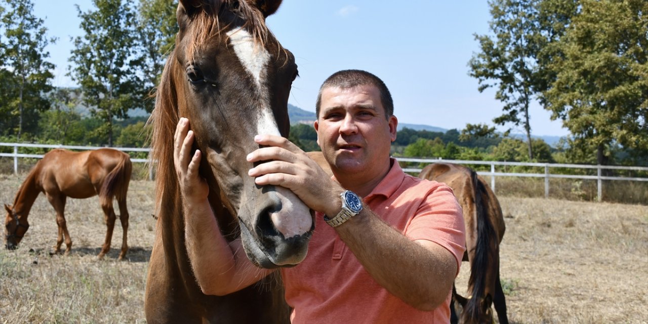 Bilecik'te hara kuran girişimci, yarış atı yetiştiriyor