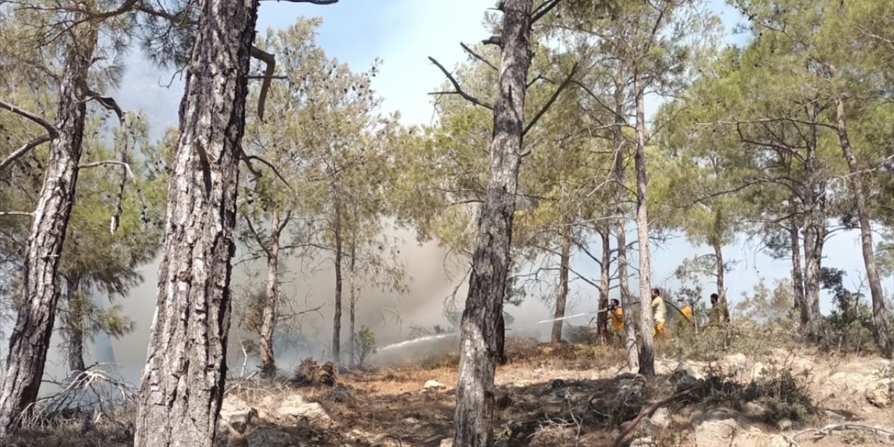 Mersin'de çıkan orman yangını kontrol altına alındı