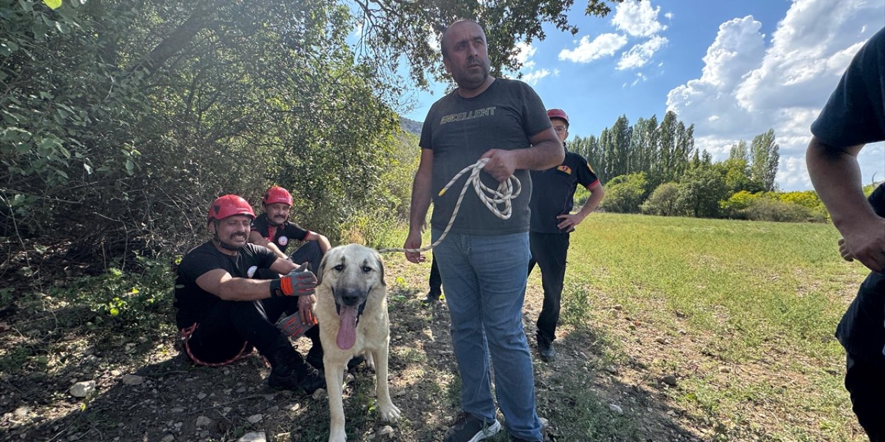 Çorum'da kayalıkta mahsur kalan köpeği itfaiye ekibi kurtardı