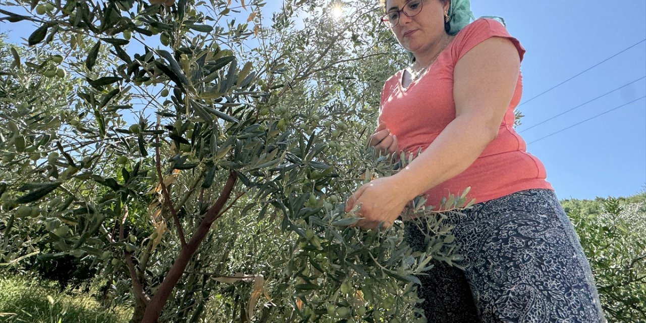 Hatay'da çiftçilik yapan avukat kurduğu kooperatifle depremzede kadınlara destek oluyor