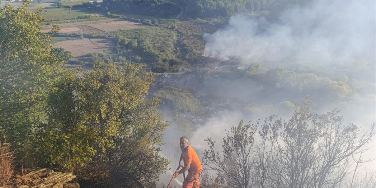 Antalya'da ormanlık alanda çıkan yangına müdahale ediliyor