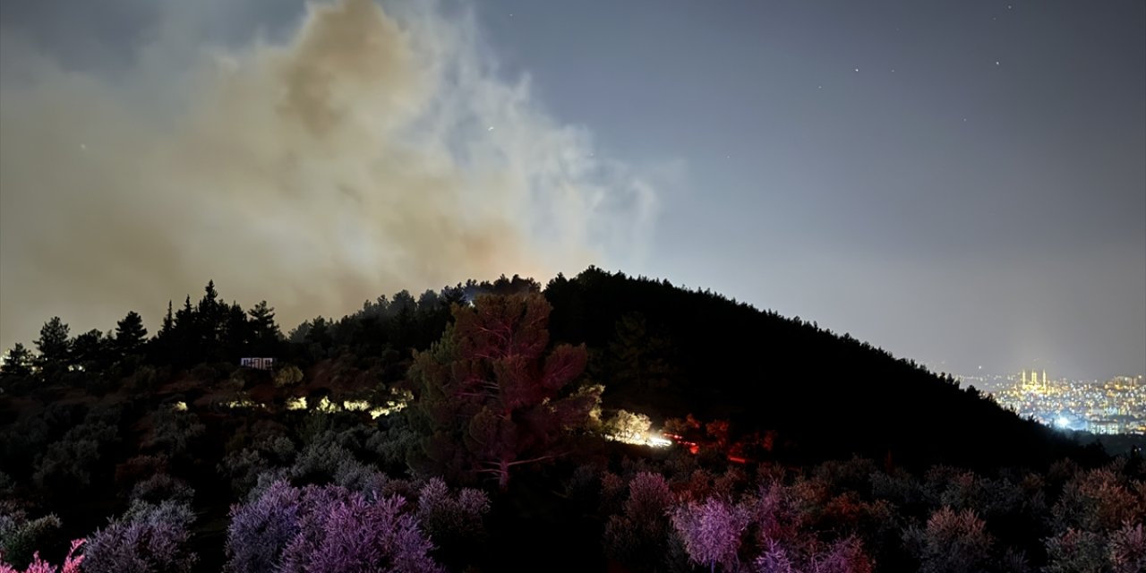 Kahramanmaraş'ta çıkan orman yangını kontrol altına alındı