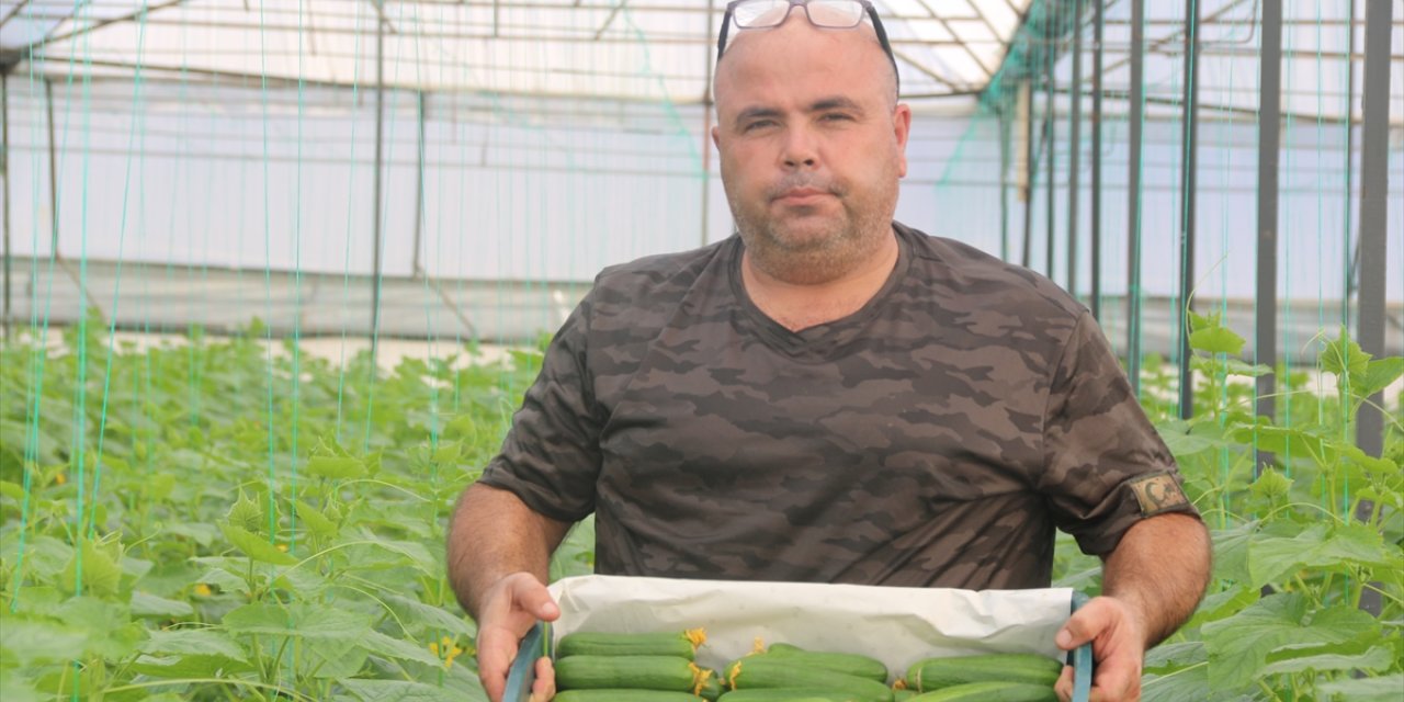 Antalya'da çiftçiler 40 dereceye ulaşan sıcaklıkta sezonun ilk salatalık hasadına başladı