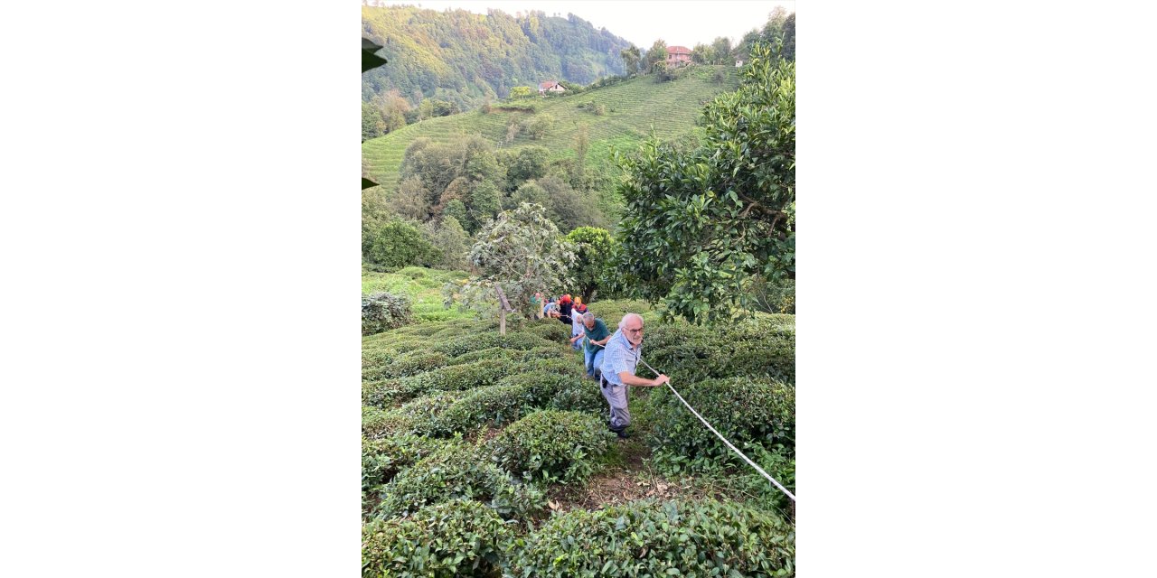 Rize'de teli kopan ilkel teleferikten çay bahçesine atlayan kadın yaralandı