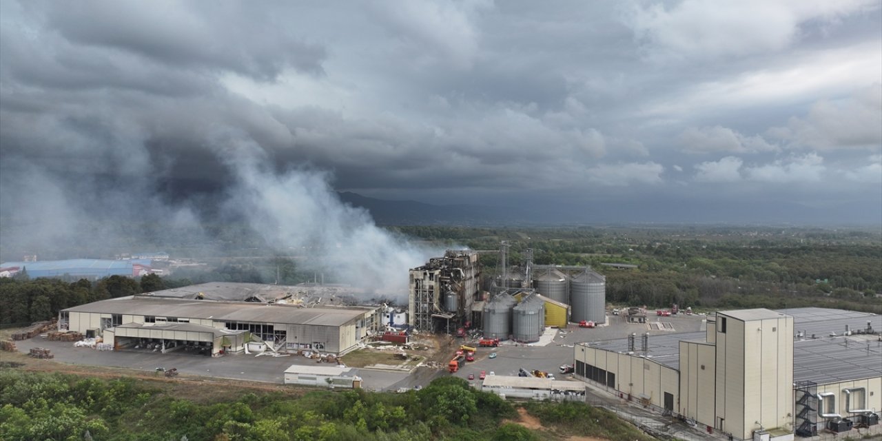 GÜNCELLEME 4 - Sakarya'da makarna fabrikasındaki patlamada 30 kişi yaralandı