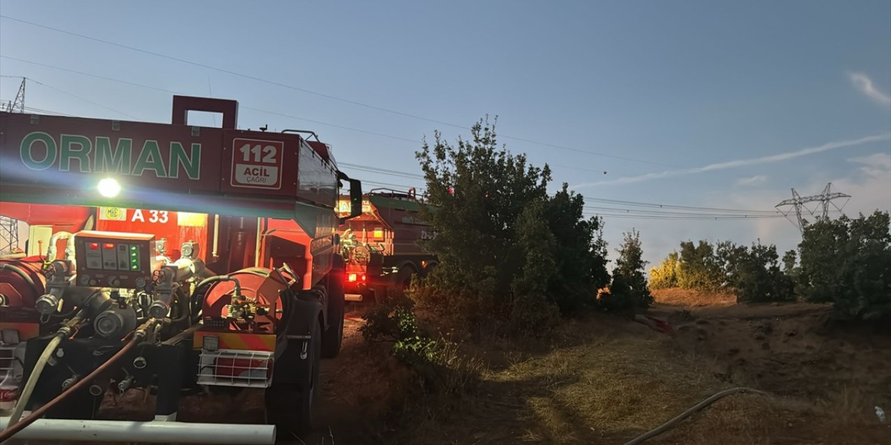 Bingöl'de ormanlık alanda çıkan yangın söndürüldü