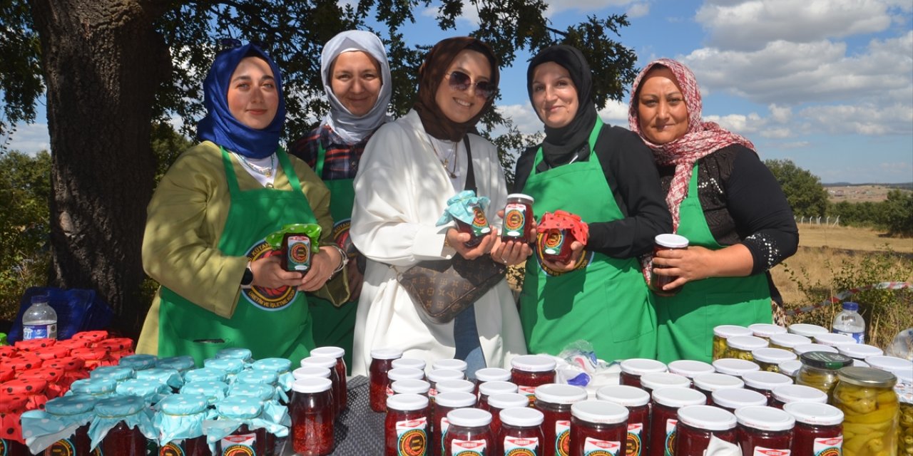 Kütahya'da "Ahududu Şenliği" yapıldı