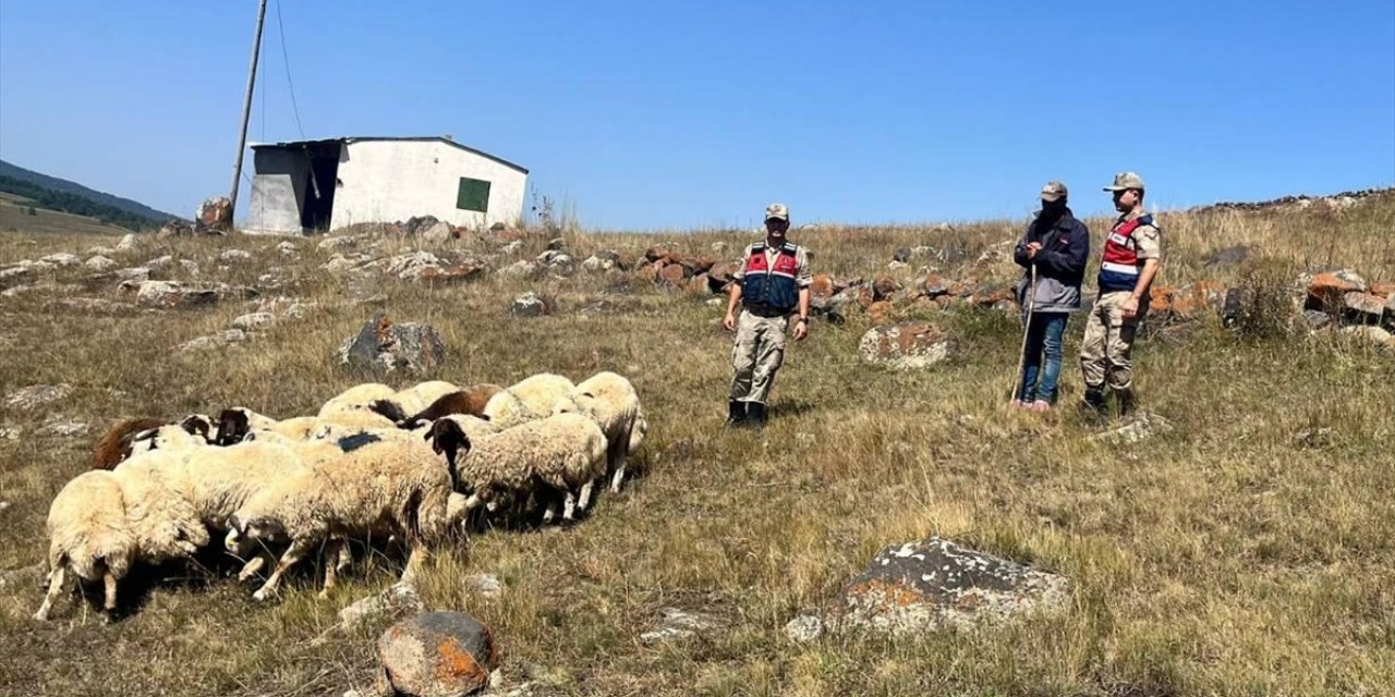 Ardahan'da kaybolan 92 hayvan bulunarak sahiplerine teslim edildi