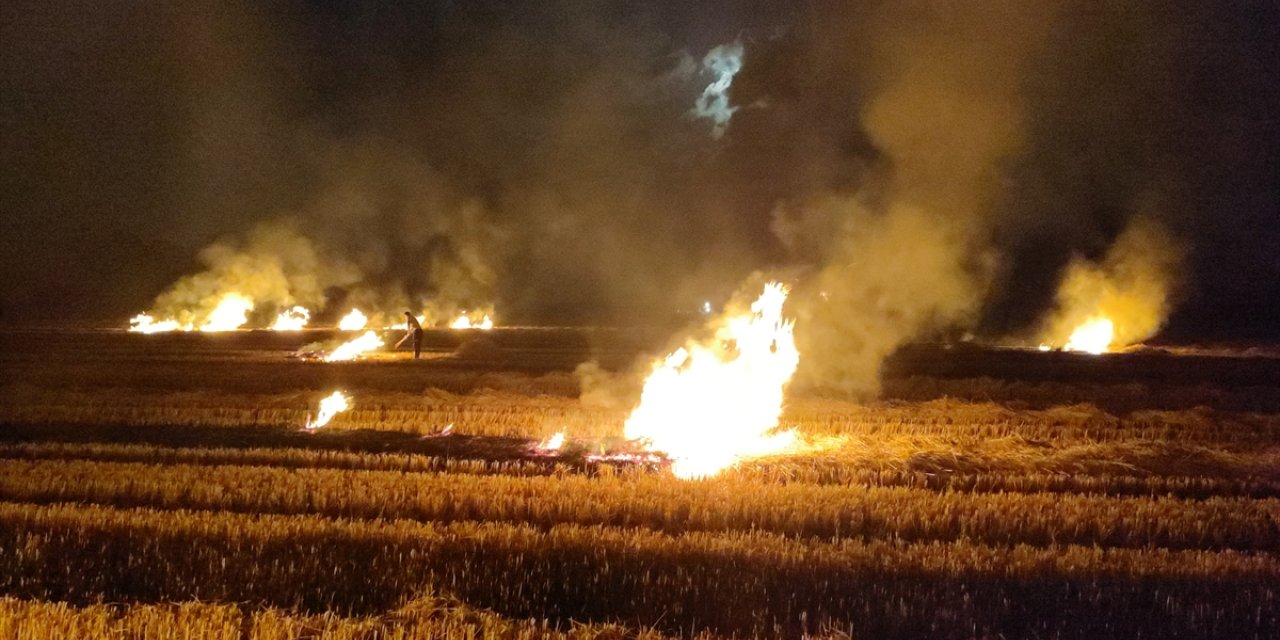 Samsun'da tarım arazisinde çıkan yangın söndürüldü