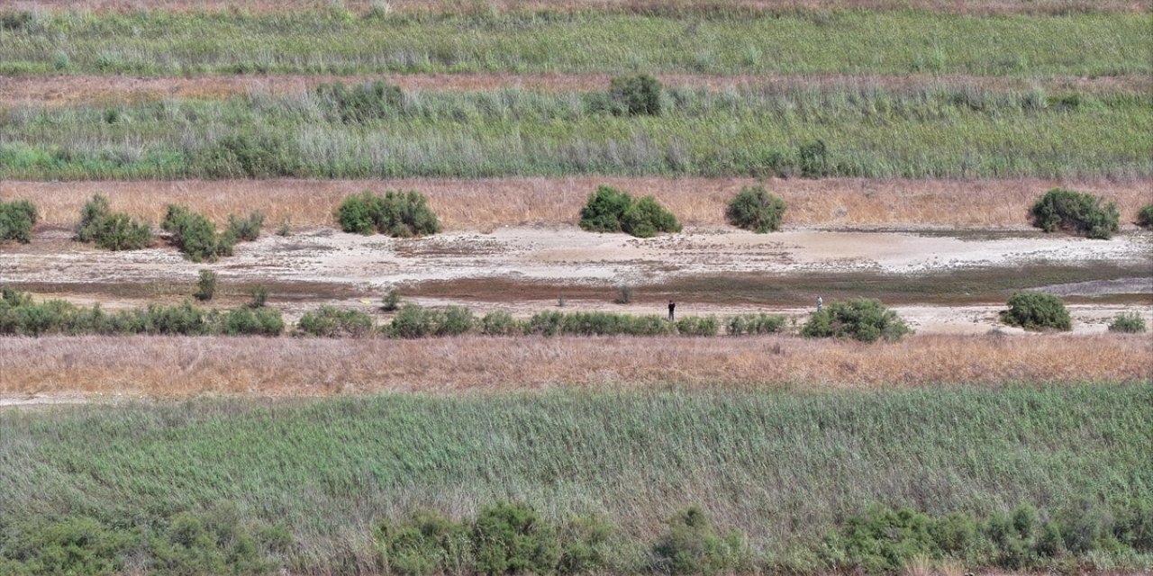 Bekçiliğini yaptığı araziyi değerlendirip yılda 3 ton deniz börülcesi üretimine ulaştı