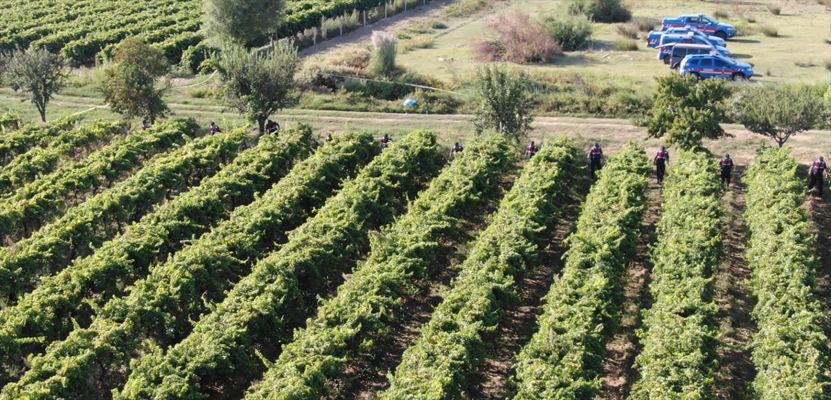 Manisa'da üzüm bağında silahla vurulan çiftçi öldü