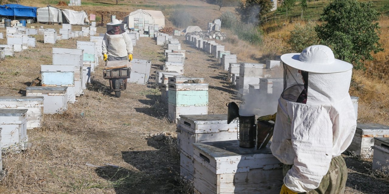 Ordulu arıcı çift Hakkari dağlarında "en iyi bal" için mesai yapıyor