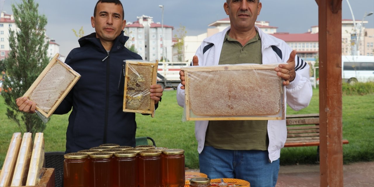 Ağrı'da coğrafi işaretle tescillenen geven balının tanıtıldığı festival başladı