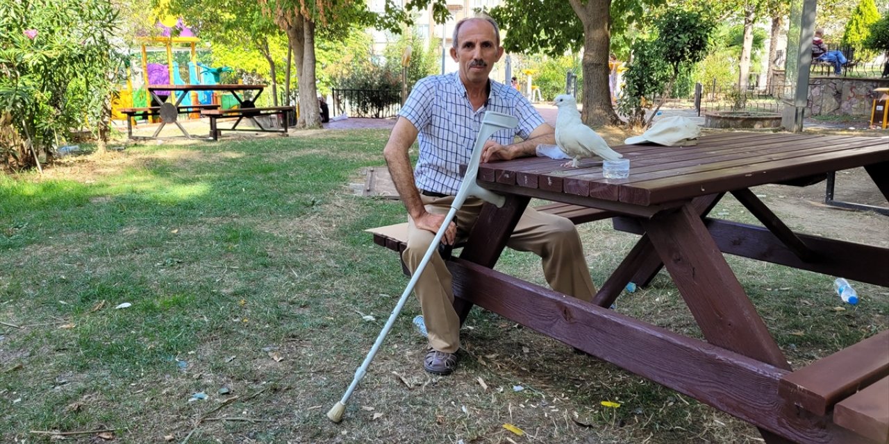 Ayağı sakat güvercin "Paşa", tek bacağını kaybeden işçiye yoldaş oldu