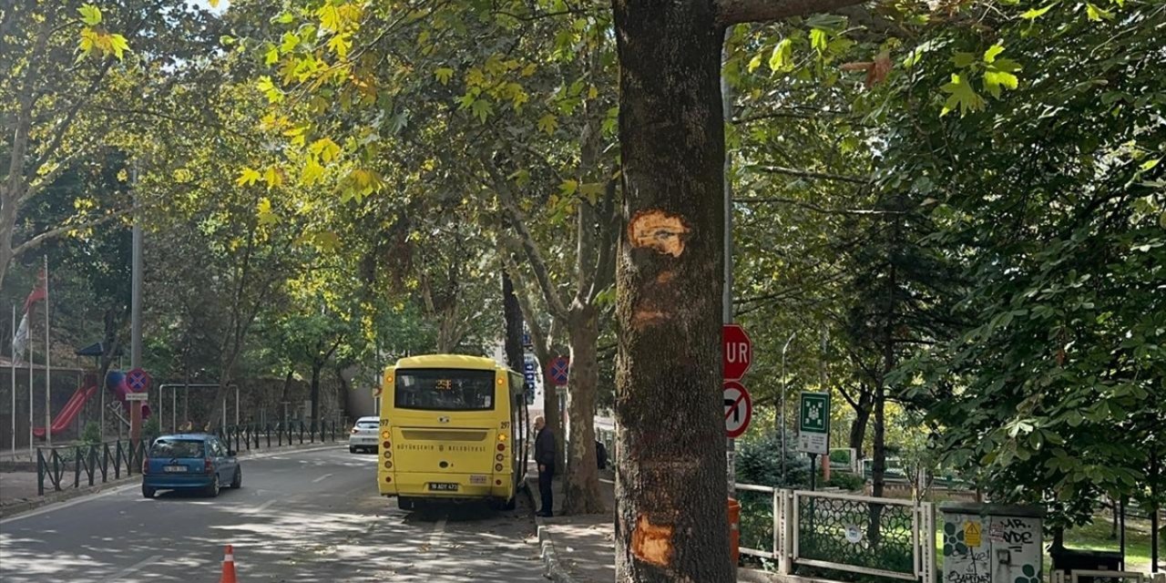 Bursa'da ağaca çarpan otobüsteki 5 yolcu yaralandı