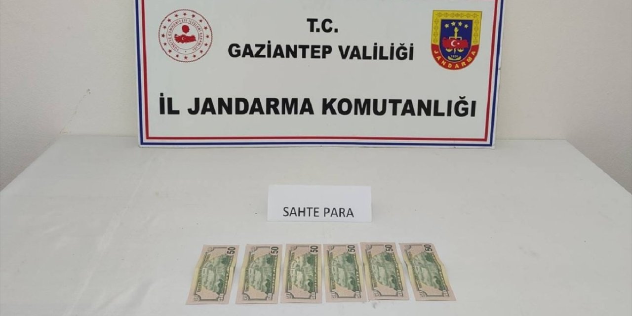 Gaziantep'te piyasaya sahte dolar sürmek isteyen şüpheli yakalandı