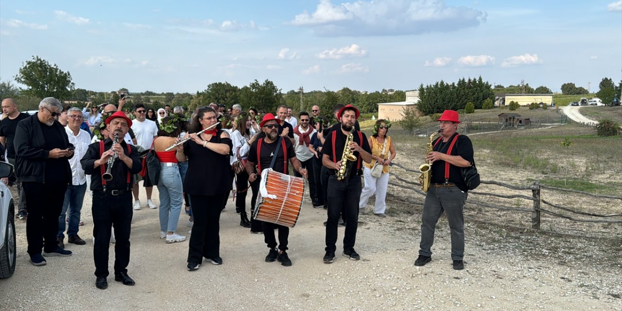 Kırklareli'nde oyun havası eşliğinde bağ hasadı yapıldı