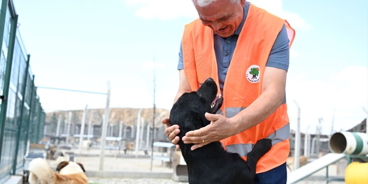 Mamak Belediye Başkanı Şahin, Hayvan Rehabilitasyon Merkezi'ni ziyaret etti