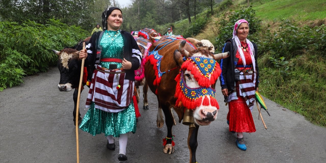 Doğu Karadeniz yaylalarında besicilerin dönüş yolculuğu başladı