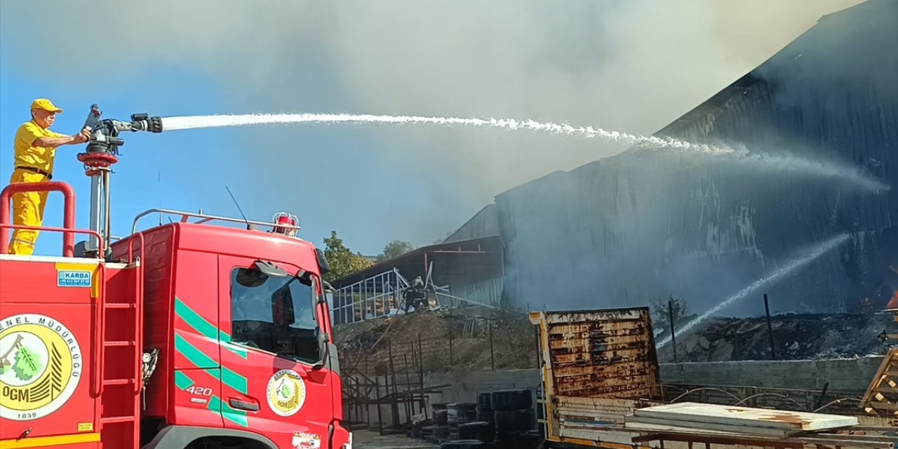 Adana'da narenciye paketleme tesisinde çıkan yangına müdahale ediliyor