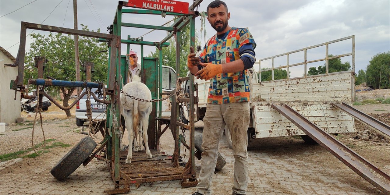 "Nalbulans" ile sahipsiz hayvanlara ücretsiz tırnak bakımı