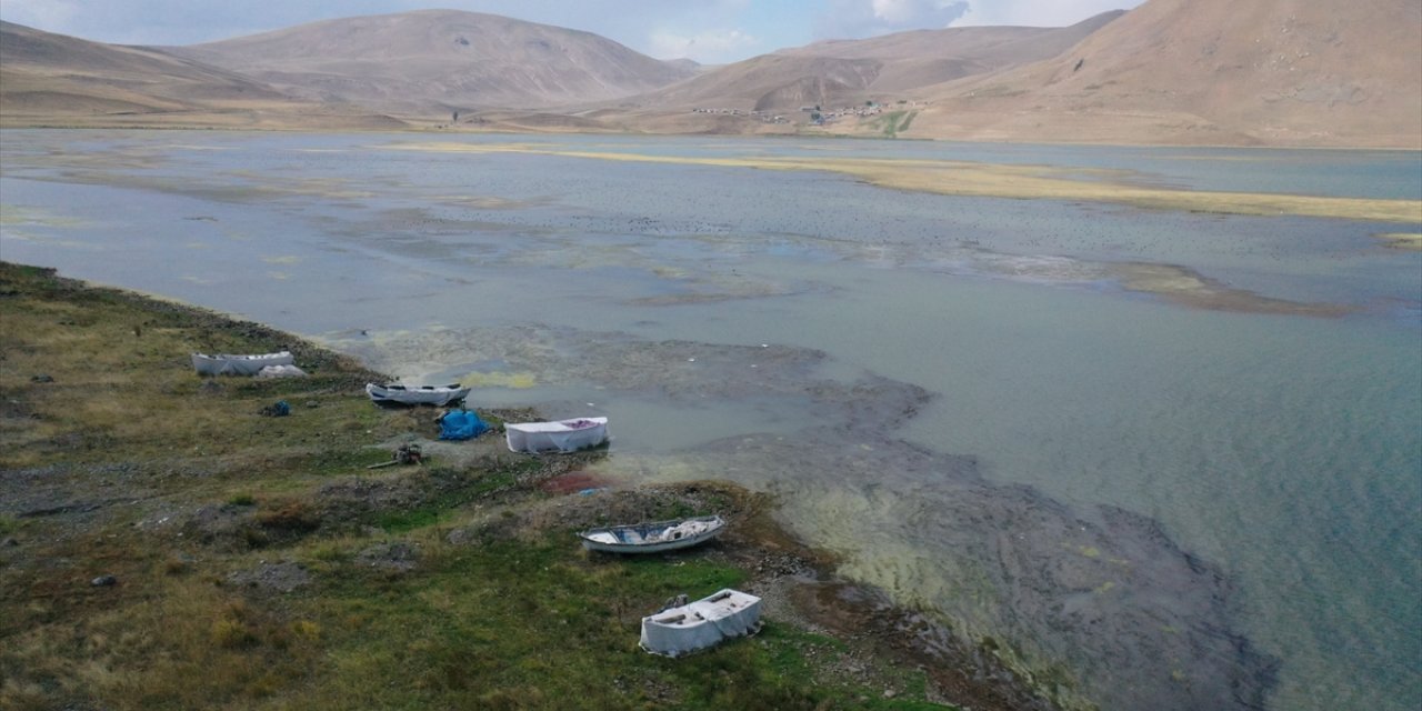 Suyu çekilen ve yosun tutan Balık Gölü'nde "canlı yaşamı" tehlikede