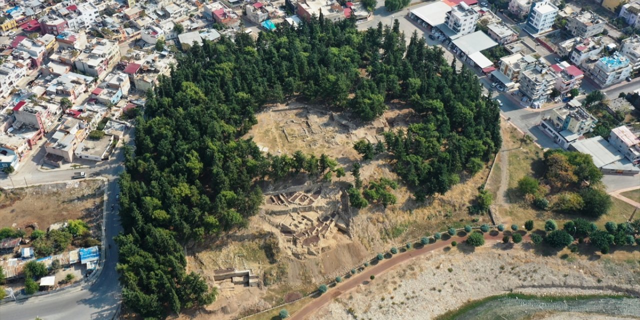 Yumuktepe Höyüğü'nde 9 bin yıllık geçmişe sahip iki buğday türü tespit edildi