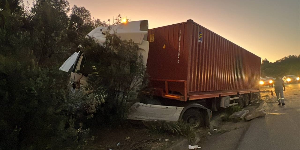 Kocaeli'de yoldan çıkan tırın sürücüsü yaralandı