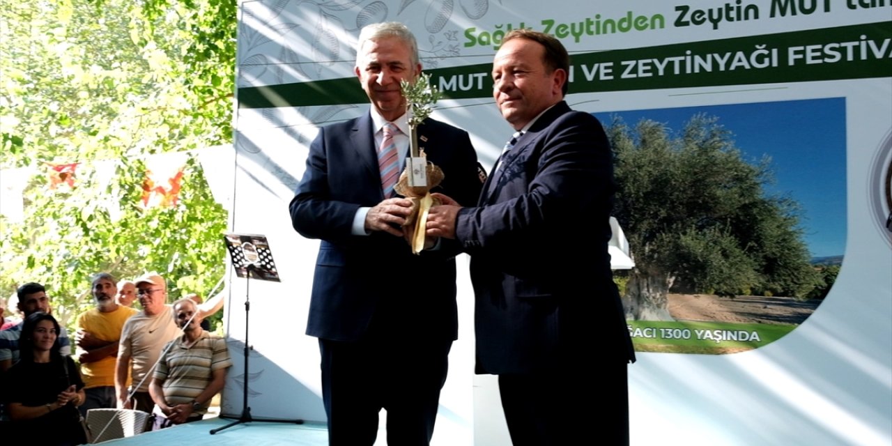 Mersin'de Mut Zeytin ve Zeytinyağı Festivali başladı