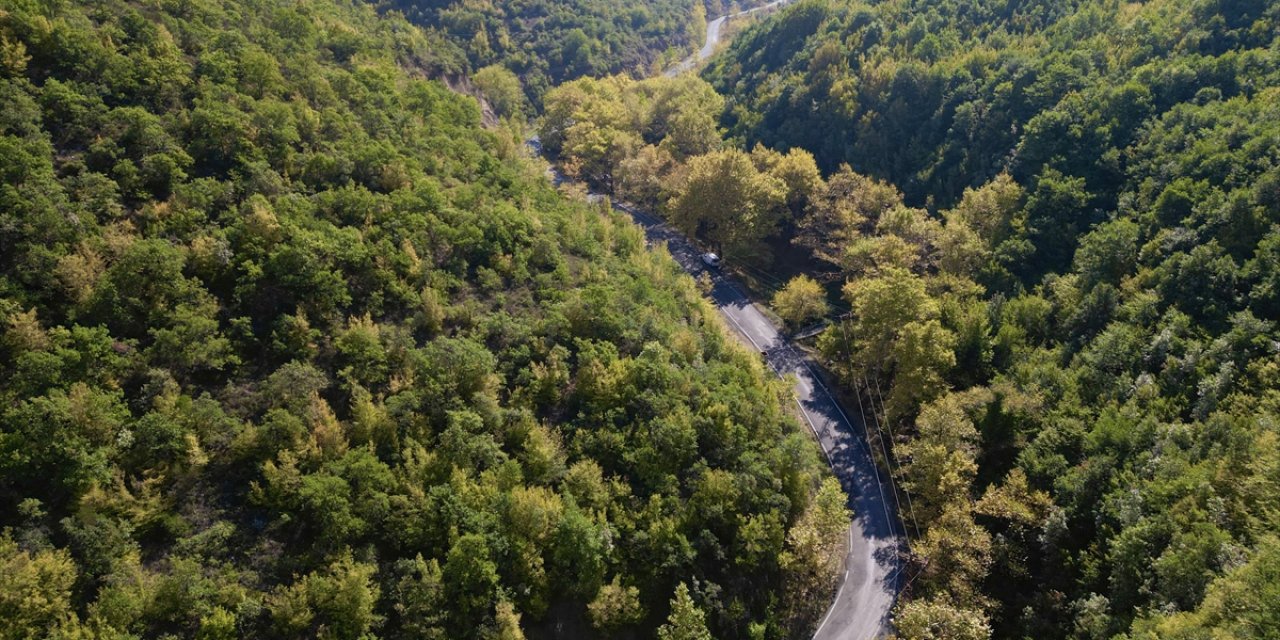 Tekirdağ'daki Ganos Dağı'nın eteklerinde sonbaharın renkleri hakim olmaya başladı