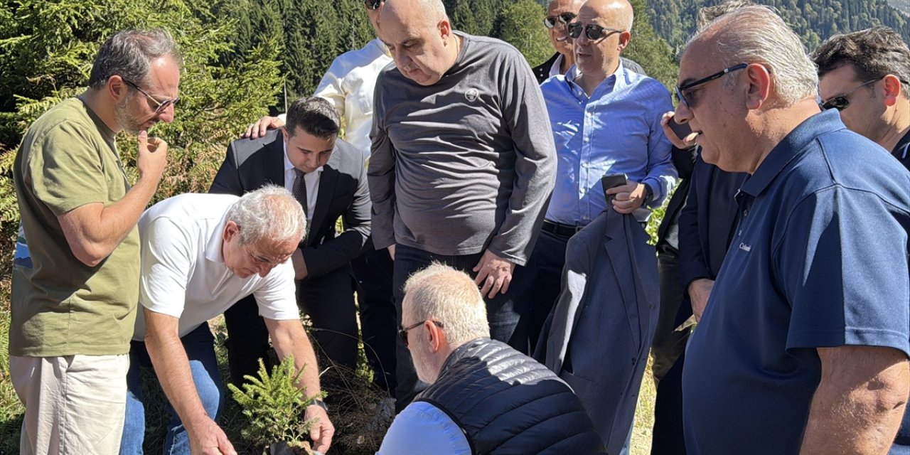 Uluslararası Karadeniz Rize-Ayder Forumu'na katılan heyet, Ayder Yaylası'nda fidan dikti