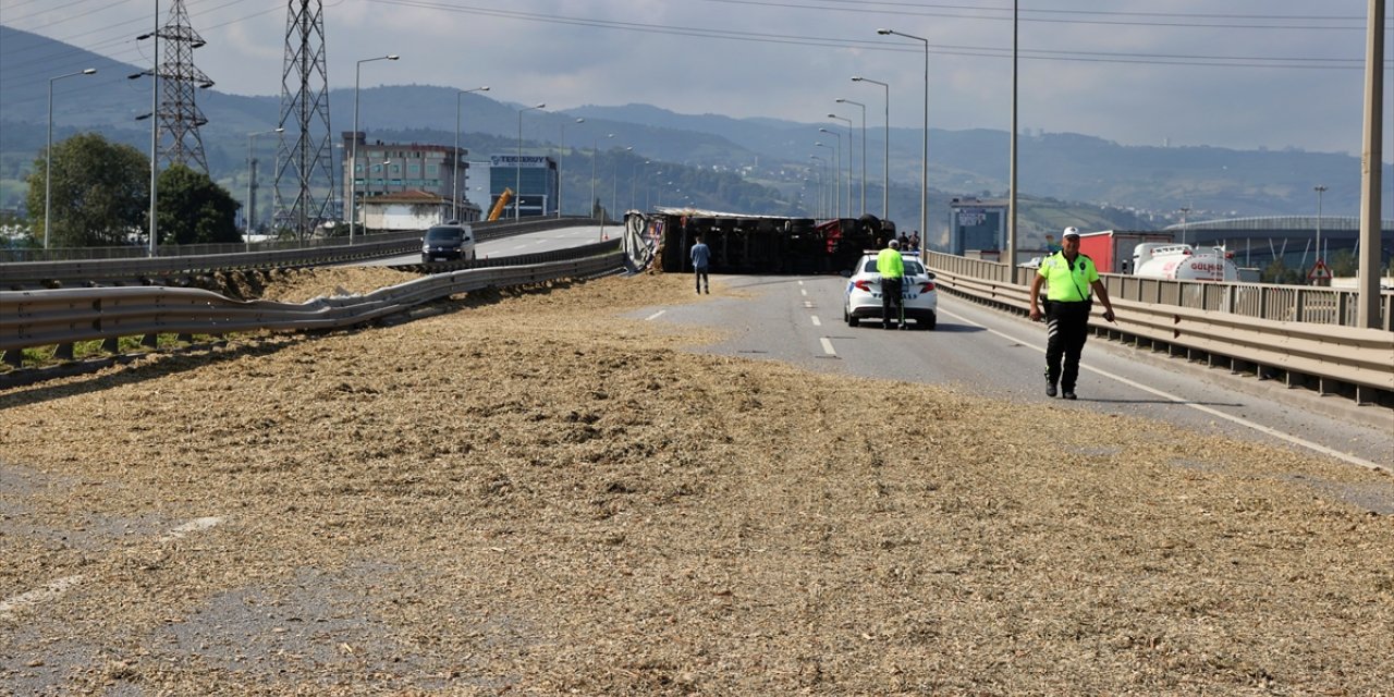 Samsun'da arı sokan tır şoförü kaza yaptı