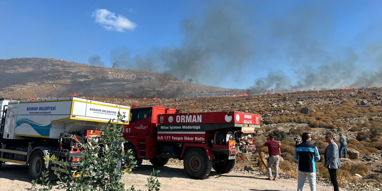 Bodrum'da otluk alanda çıkan yangın söndürüldü