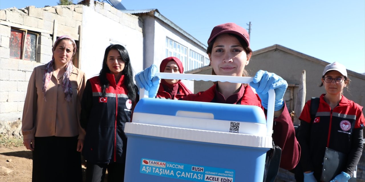 Erzurum kırsalında hayvan sağlığını kadın veterinerler koruyor