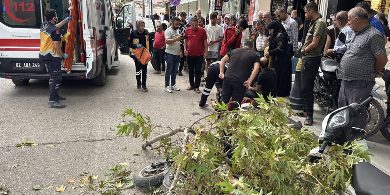 Adıyaman'da rüzgarın kırdığı dalın altında kalan motosikletteki sürücü yaralandı