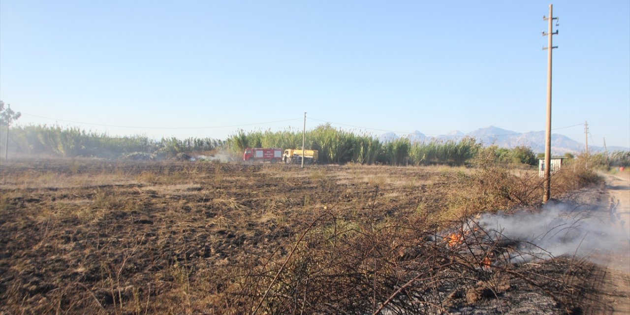 Antalya'da sazlık alanda çıkan yangın söndürüldü