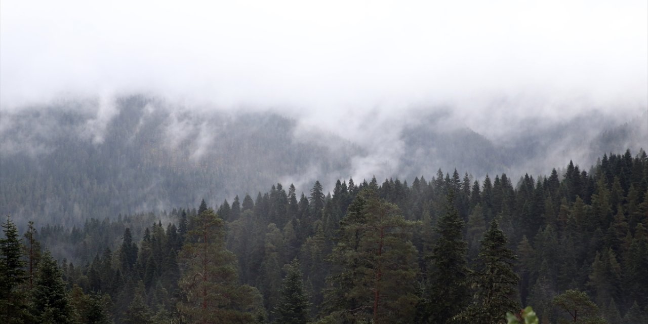 Ilgaz Dağı'nda sis etkili oldu