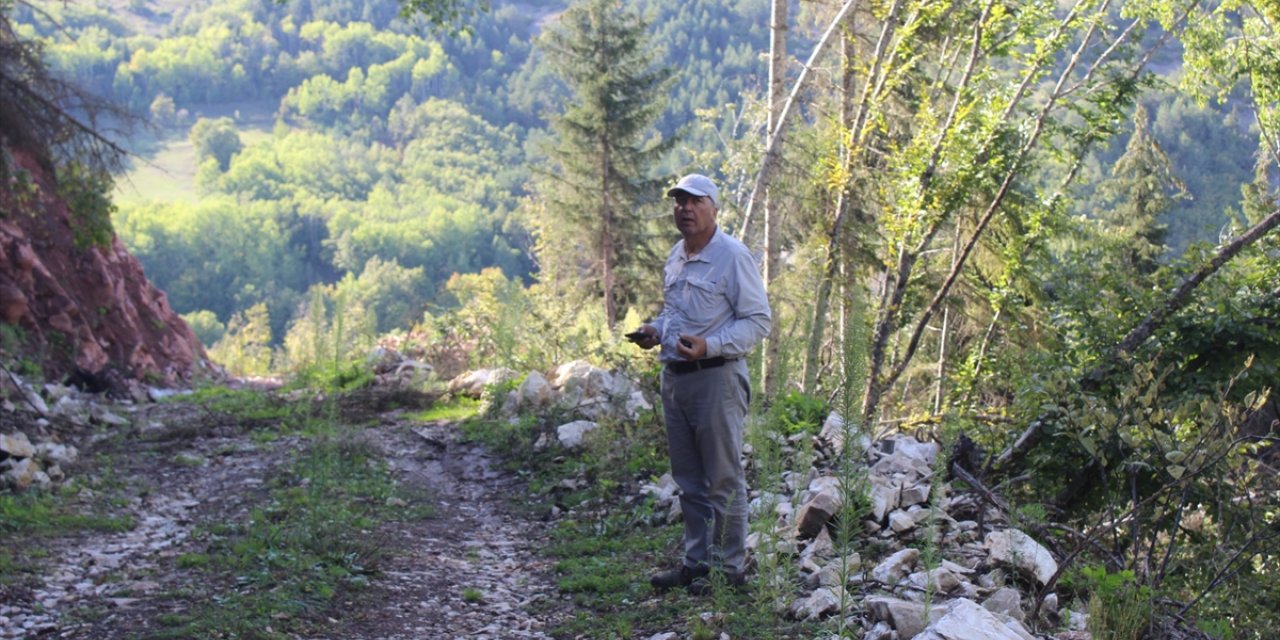 Artvin'de Kutlu köyü bağlığı ve civarındaki kazılar devam ediyor