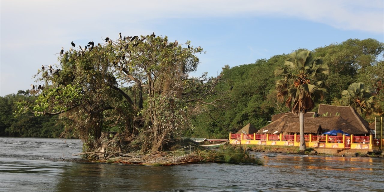 Bereket ve uygarlığın kaynağı Nil Nehri, Uganda ve Etiyopya'dan Akdeniz'e dökülüyor