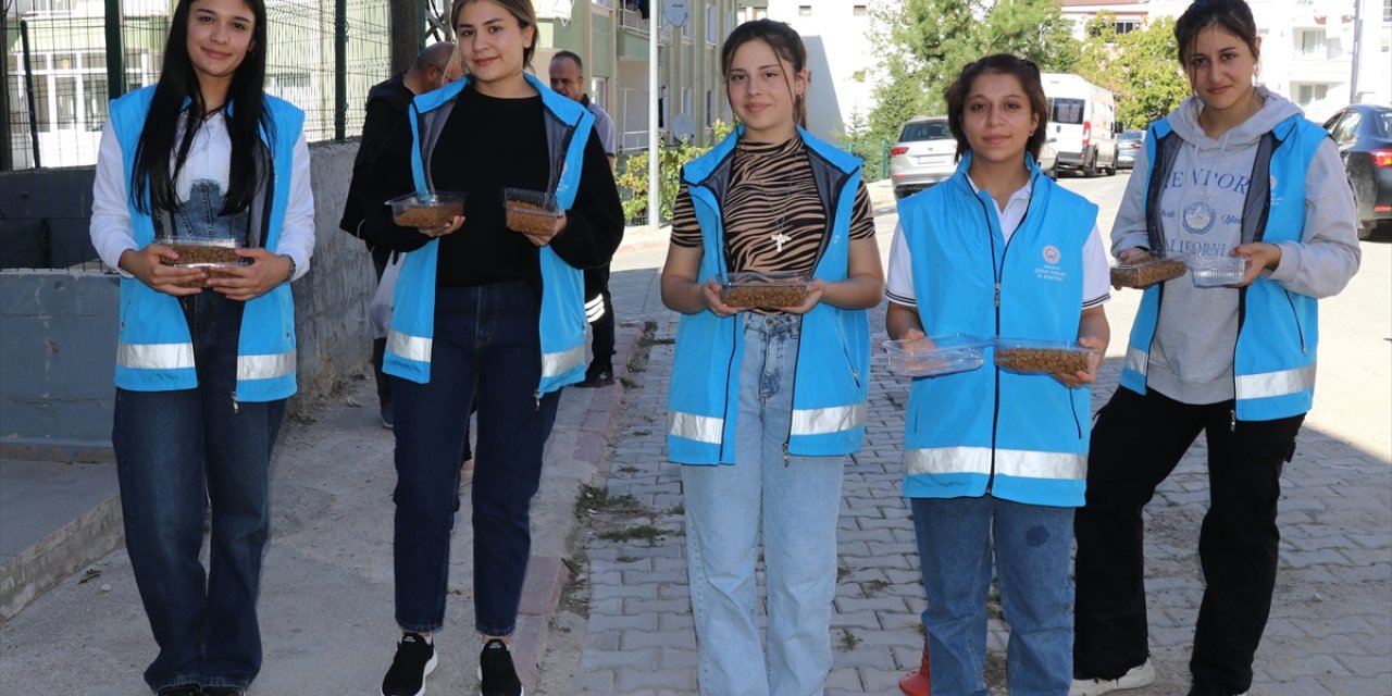 Amasya'da sokakları gezen öğrenciler kedi ve köpekler için mama ve su bıraktı