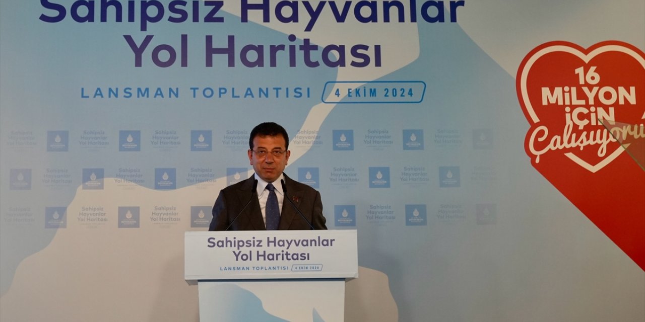 İBB'nin "Sahipsiz Hayvanlar Yol Haritası" lansman toplantısı yapıldı