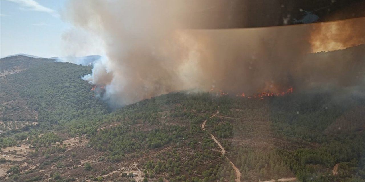 İzmir'de çöplükte çıkan ve ormana sıçrayan yangına müdahale ediliyor