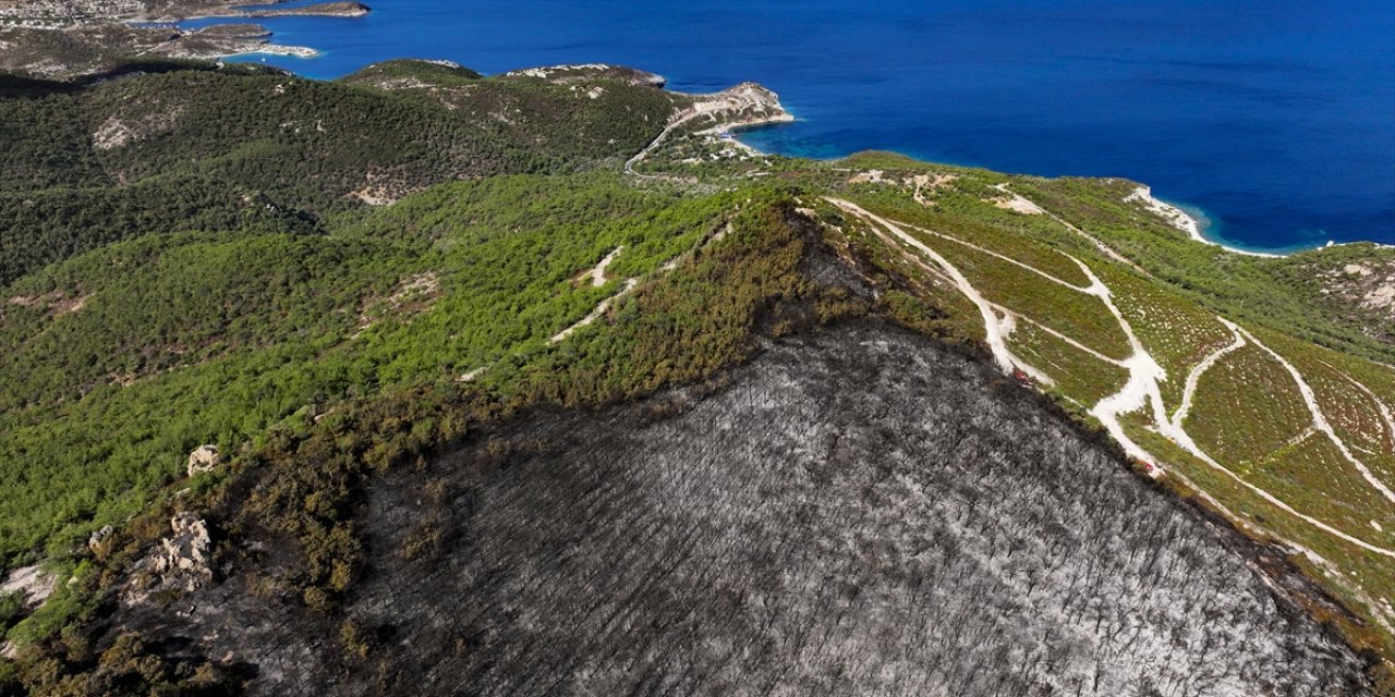 Foça'daki yangında hasar gören alanlar havadan görüntülendi