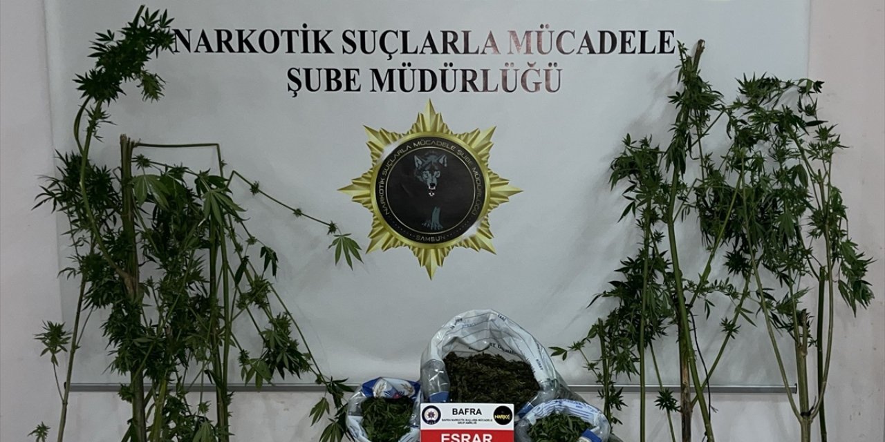 Samsun'da narkotik operasyonunda iki şüpheli yakalandı