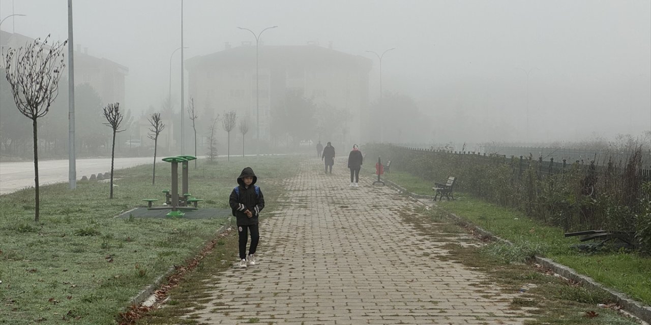 Düzce'de sis etkili oldu