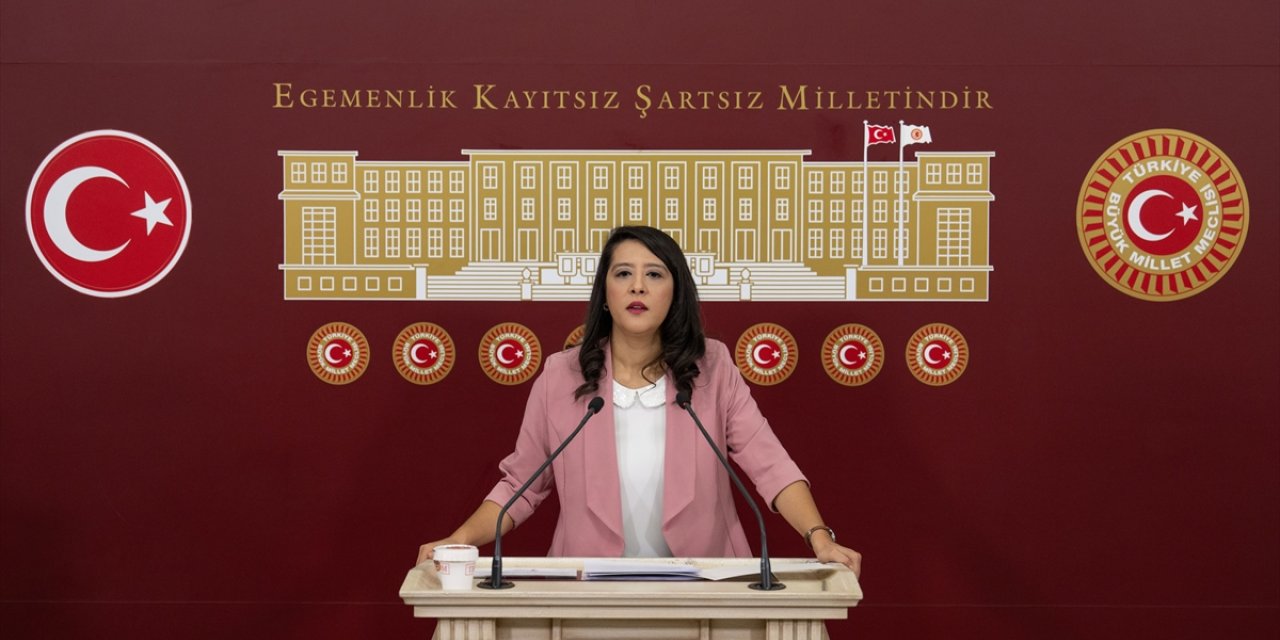 EMEP'li Demir, kadına ve çocuğa yönelik şiddetle kaynağına inilerek mücadele edilmesini istedi