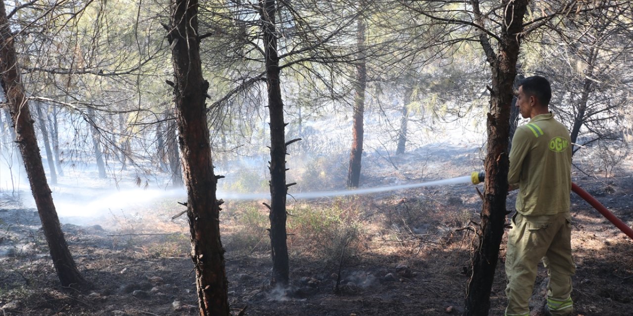 Hatay'da ormanlık alanda çıkan yangın söndürüldü