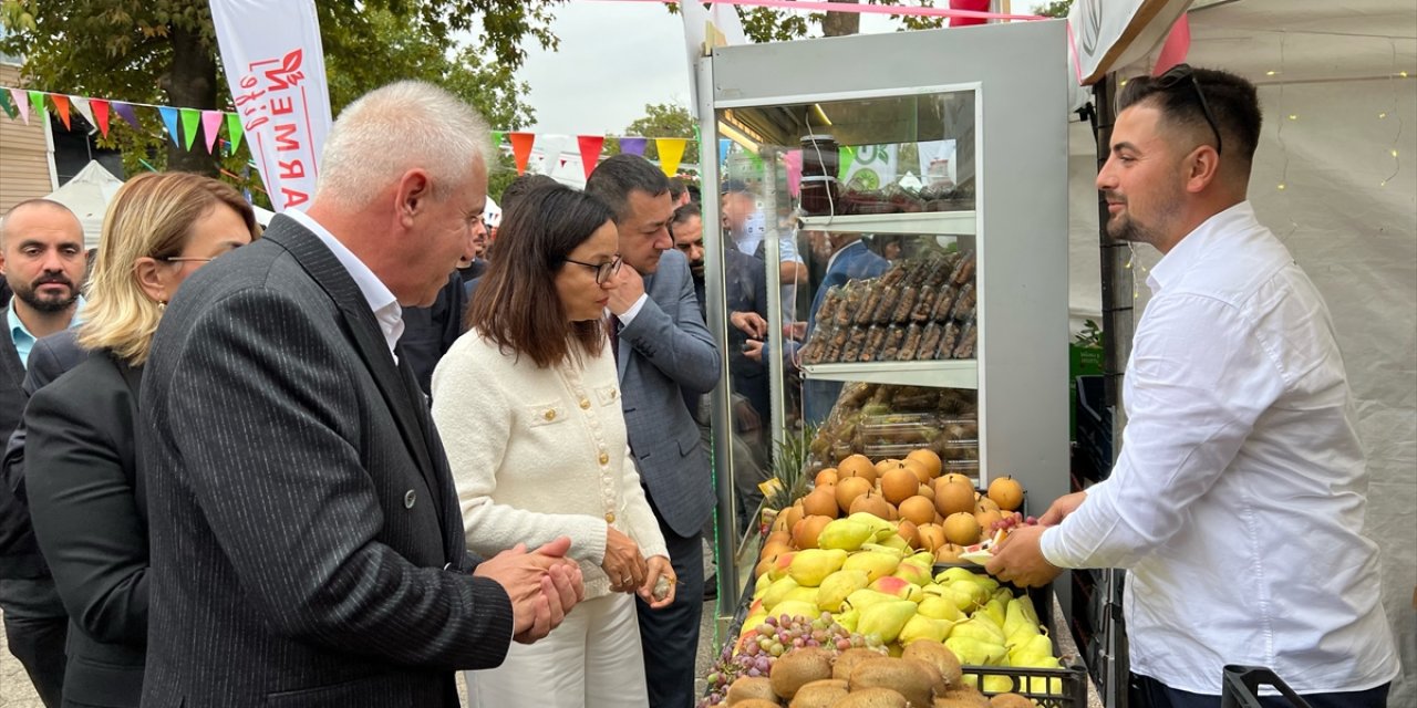 Yalova'da 11. Subaşı Kivi Festivali düzenlendi