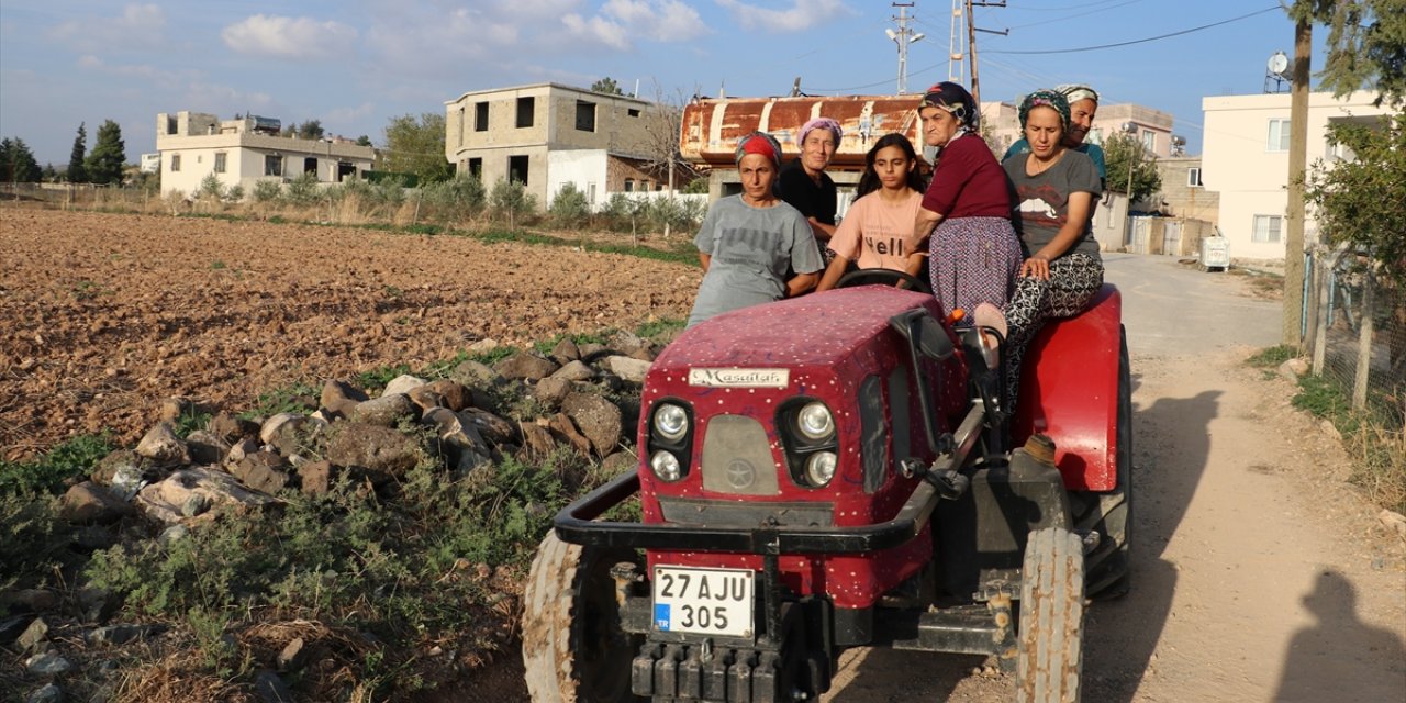 Kilis'in köylerinde çiftçilik yapan kadınlar, kırsal kalkınmada aktif rol üstleniyor