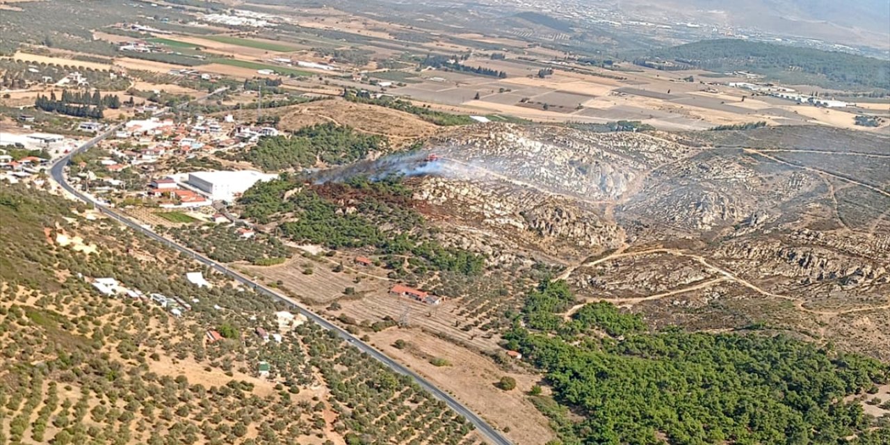 İzmir Foça'da ormanlık alanda yangın çıktı